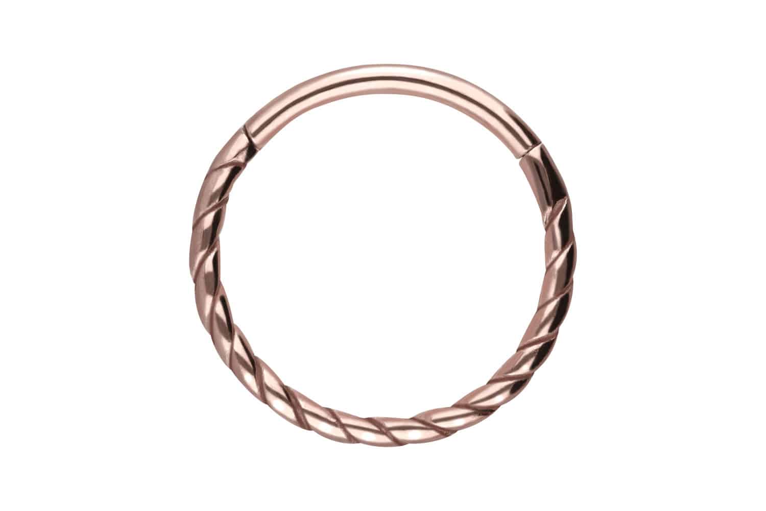 Chirurgenstahl Segmentring Clicker Piercing GEDREHT